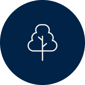 tree icon